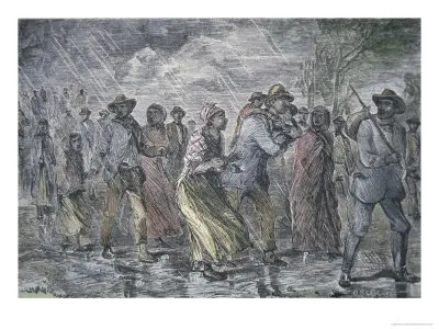 Fugitive Slaves Fleeing from the Maryland Coast to an Underground Railroad Depot in Delaware, 1850