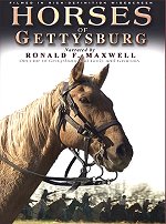 Horses of Gettysburg