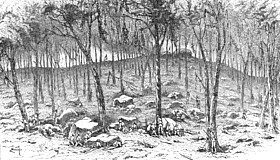Fighting at Culp's Hill