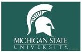 MIchigan State Spartans Flag