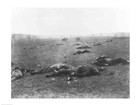 Harvest of Death, Gettysburg, 1863